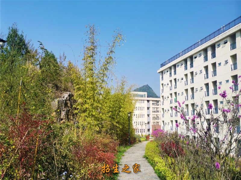 阳春三月