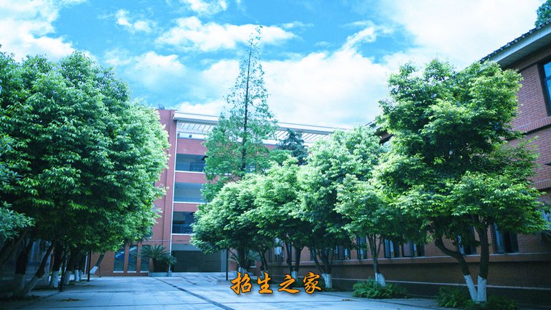 成都七中八一学校校园道路