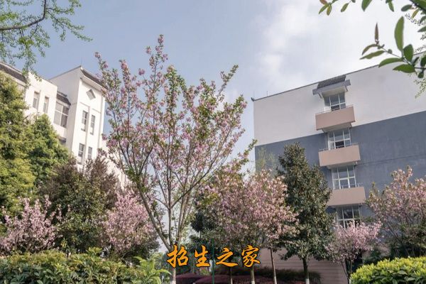 四川省都江堰中学环境