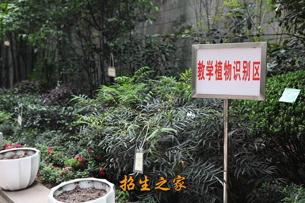 重庆市风景园林技工学校相册图集