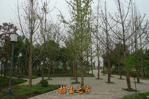 重庆市风景园林技工学校相册图集