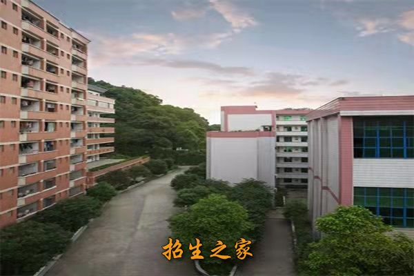 重庆市南丁卫生职业学校相册图集