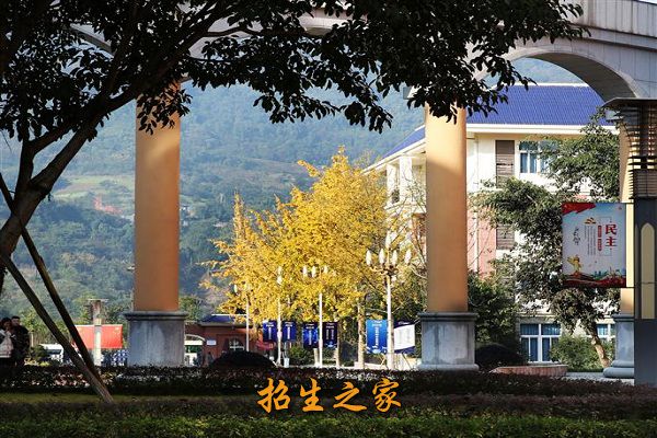 重庆教育管理学校相册图集