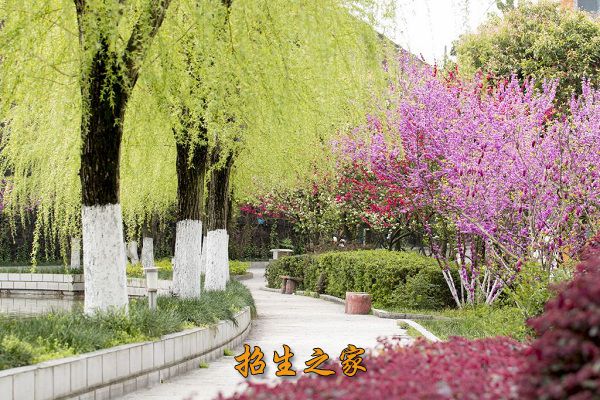 重庆市三峡水利电力学校相册图集