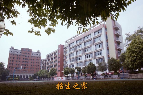 重庆市工艺美术学校相册图集
