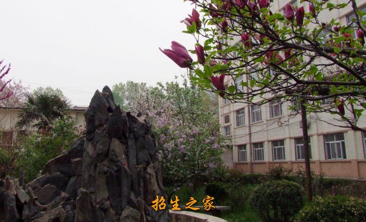 陕西航天技师学院相册图集