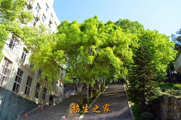 重庆市工业技师学院（重庆市工业高级技工学校）相册图集