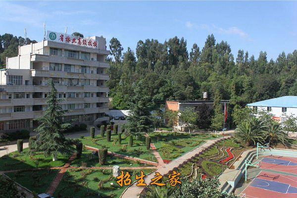云南省林业高级技工学校相册图集