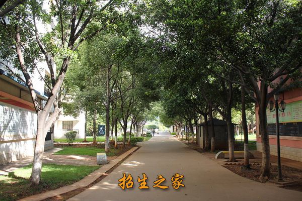 云南省玉溪技师学院（玉溪工业财贸学校）相册图集