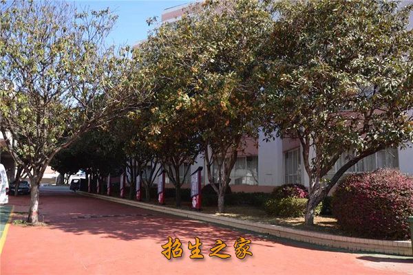 云南中医药中等专业学校相册图集