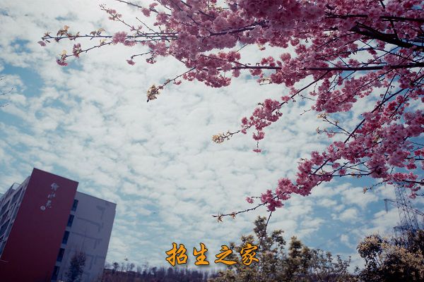 云南国土资源职业学院相册图集