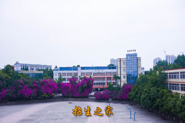 成都华大医药卫生学校相册图集