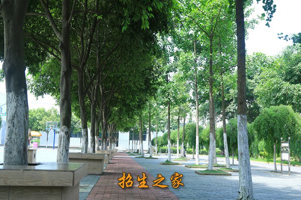 乐山市计算机学校相册图集