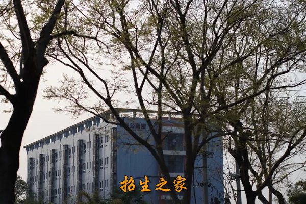 德阳通用电子科技学校相册图集