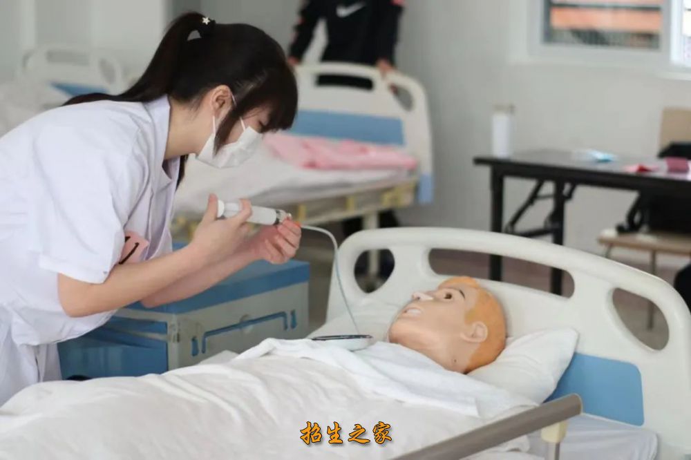 老年人服务与管理