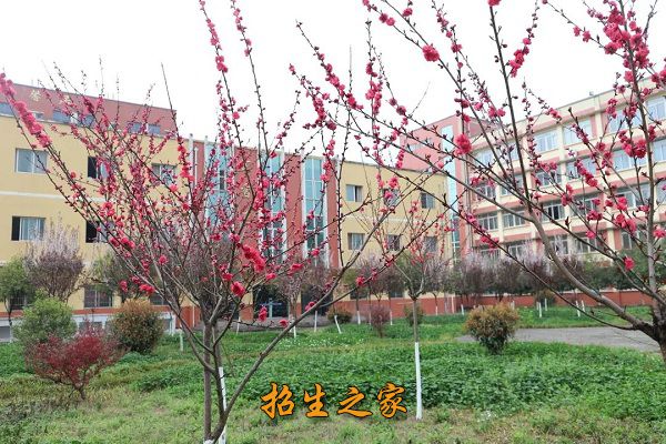 广元市昭化区职业高级中学相册图集