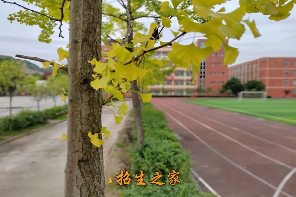 广元市昭化区职业高级中学相册图集