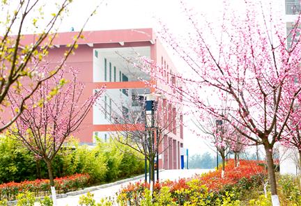 四川幼儿师范高等专科学校相册图集