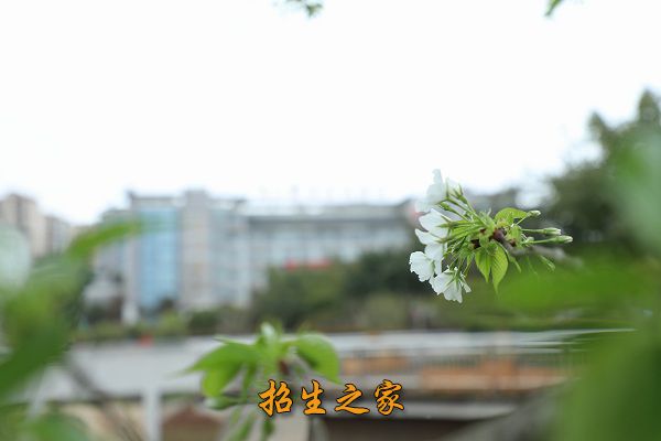 眉山技师学院相册图集