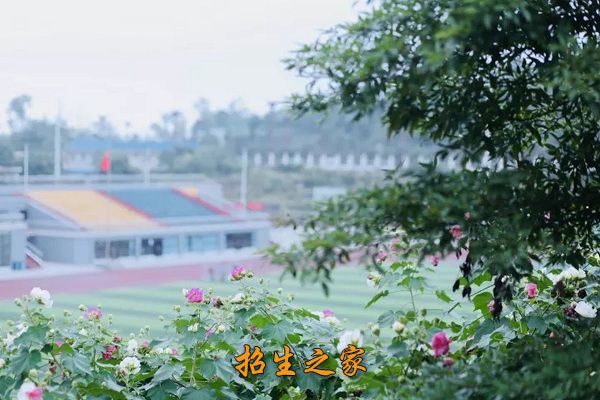 眉山技师学院相册图集