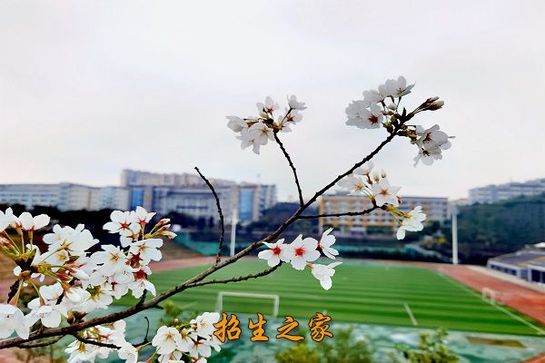 眉山技师学院相册图集