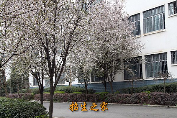 绵阳工业技师学院相册图集