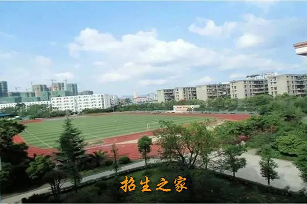 运动场