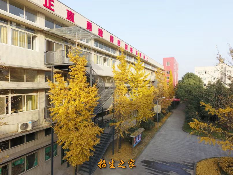 新亚艺考音乐楼