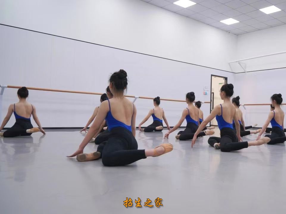 教学日常