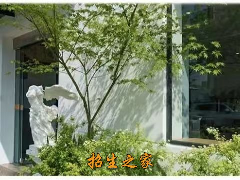 飞扬学成文化艺术培训室外环境