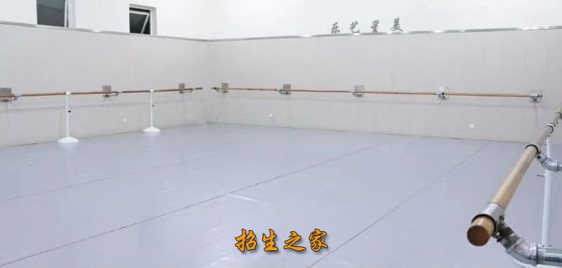 舞蹈教学环境