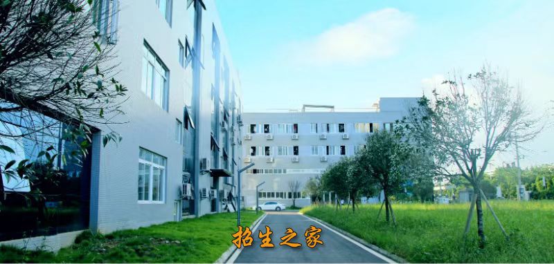 乐艺星美艺考校园环境