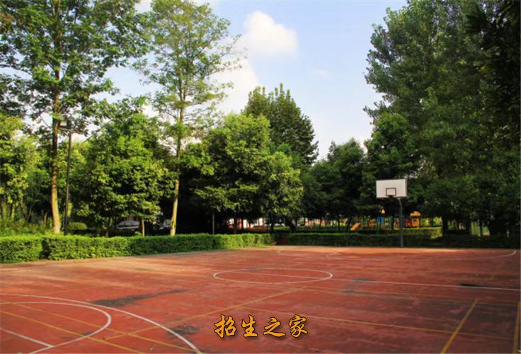 红韵嘉艺艺术教育学校环境
