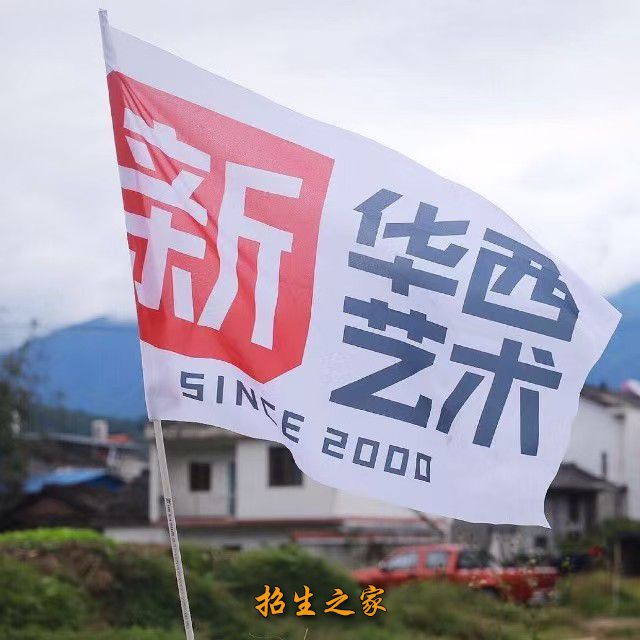 新华西艺术