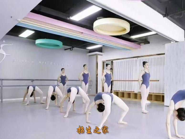 思乐艺术教育相册图集