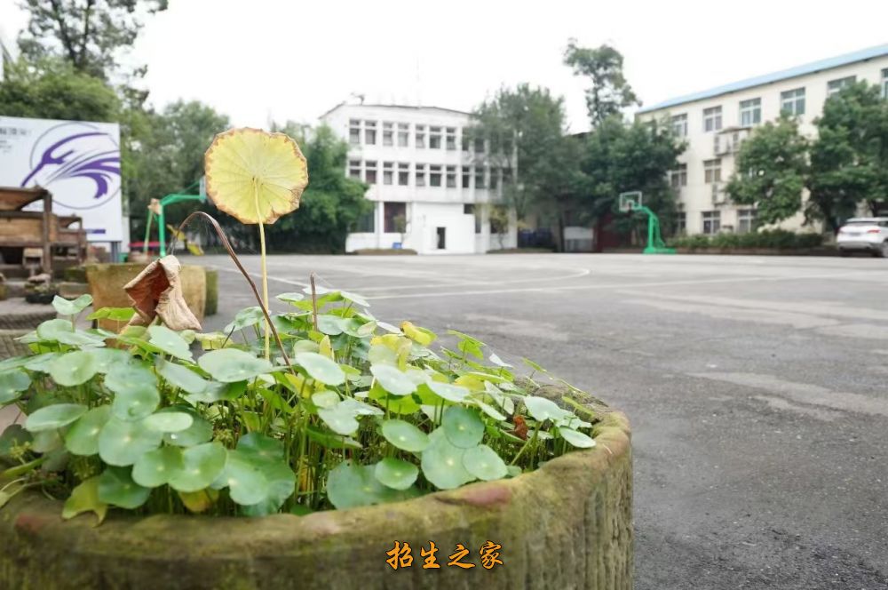 老鹰画室成都校园环境