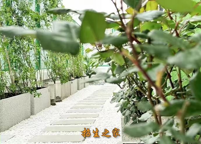 成都新美院画室室外环境
