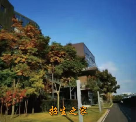 学校环境
