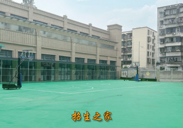 成都龙新教育培训学校相册图集