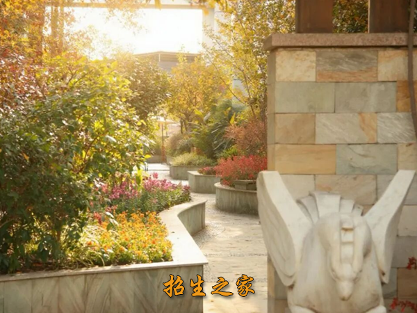 名师荟教育相册图集