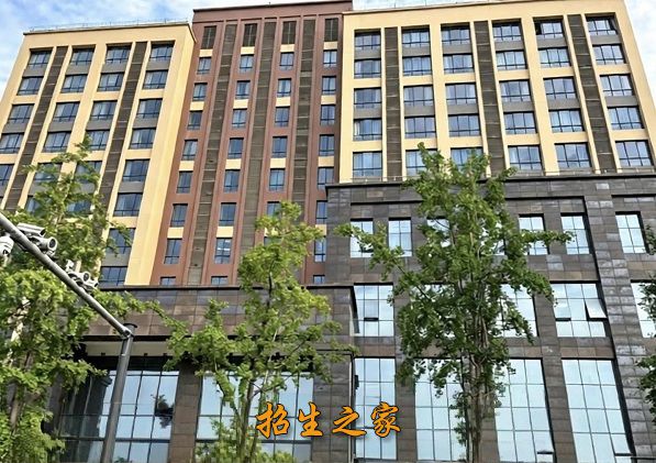 成都竞元单招培训学校