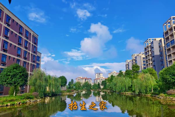 成都蔚来翔恩教育单招培训学校相册图集