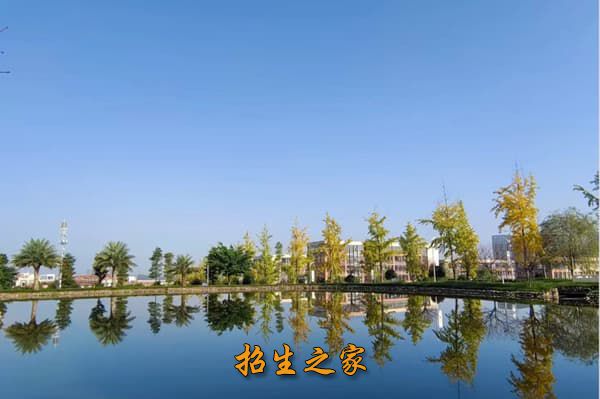 成都蔚来翔恩教育单招培训学校相册图集