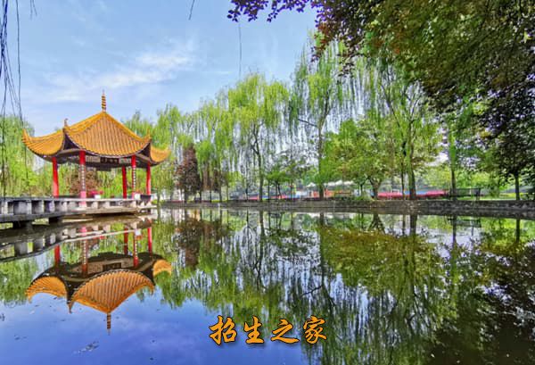 成都蔚来翔恩教育单招培训学校相册图集