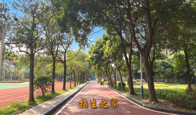 四川三人翰林单招培训学校相册图集